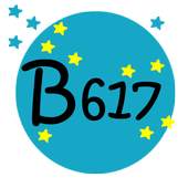 Camera Selfie B617 icon