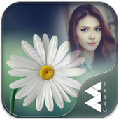 Daisy Flower Photo Frames icon