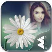 Daisy Flower Photo Frames on 9Apps