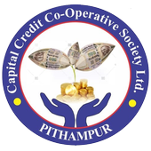 Capital Credit Customer icon