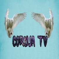 Coruja TV