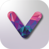 V-wallet icon