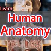 Anatomy Learning