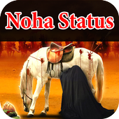 Nohay video status أيقونة
