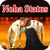 Nohay video status on 9Apps