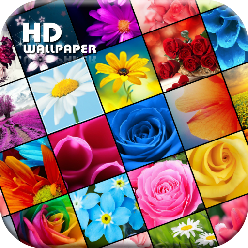 My Flowers Colors HD WALLPAPER icon