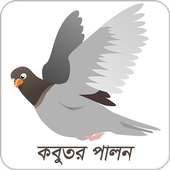 কবুতর পালন on 9Apps