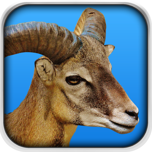 Goat Fight Simulator icon