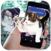 Cat on Screen Funny Joke