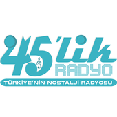 Radyo 45'lik icon
