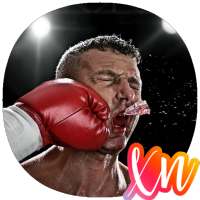 Boxing Fights Knockouts Videos Guide