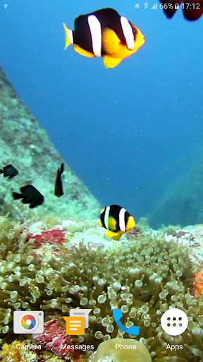 Colorful Fishes Live Wallpaper screenshot 7