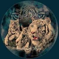 جديد اجمل زوامل منوع بدون نت 2020 on 9Apps