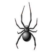 Spider Prank icon