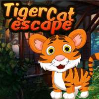 Tiger Cat Best Escape Game 104
