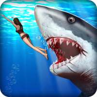 Marah Shark Hunter