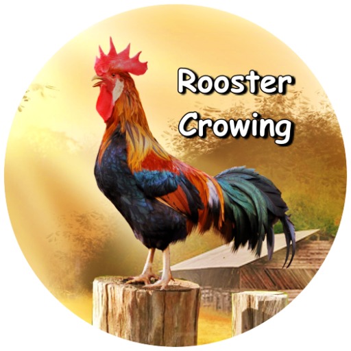 Rooster Crowing Sounds - Ringtones &amp; Alarms icon