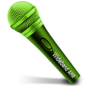 Wideband AMR Recorder (High Compression Voice) icon