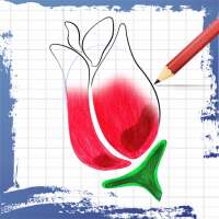 100  How to Draw Flowers on 9Apps