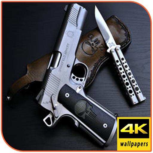 Gun HD Wallpaper icon