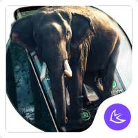 Elephant APUS Launcher theme on 9Apps