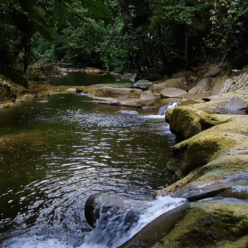 Hilly Pond Live Wallpaper icon