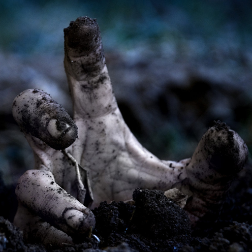 Judgment Day: Zombie Attack 3d icon