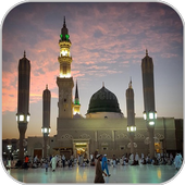 Mosque Wallpaper أيقونة