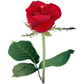 Lalgolap Express Plus icon