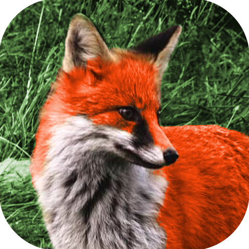 Animal Sounds Free icon