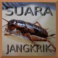 Kumpulan Suara Jangkrik Free on 9Apps