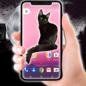 Black Cat On the Screen icon