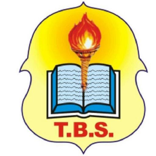 The Brain Shapers School icon