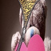 Bear teddy zipper lock screen icon