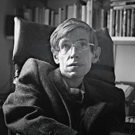 ikon Stephen Hawking Quotes