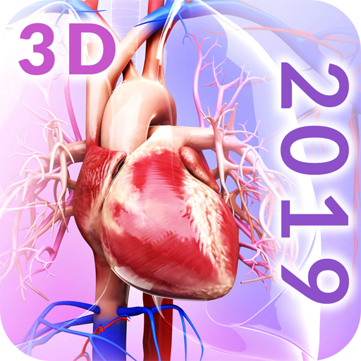 Circulatory System Anatomy icon