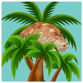 Sulcata Tortoise иконка