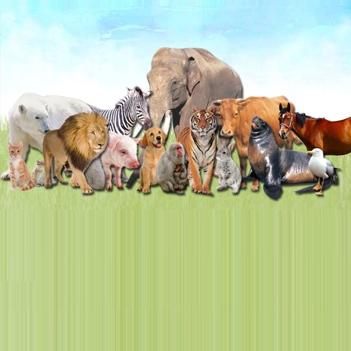 Animal sounds of all kinds icon