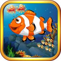 Ocean Crush Fish Dome