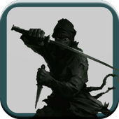 Ninja Returns icon
