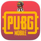 Flash player for pubg graphics   plugin simulator