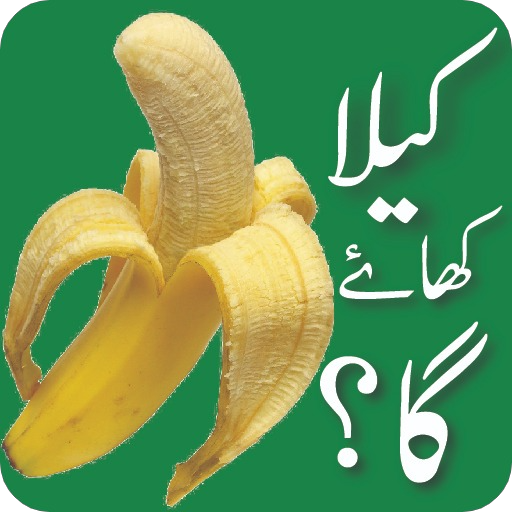 WASticker Funny Urdu Stickers icon