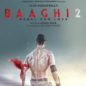 Baaghi 2 Full Movie Download icon