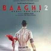 Baaghi 2 Full Movie Download on 9Apps