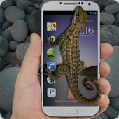 Lizard In Phone أيقونة