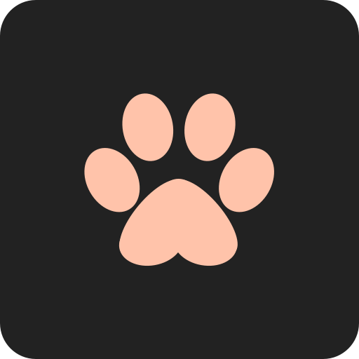 Cat Bento icon