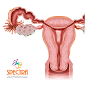Mini Atlas Gynaecology icon