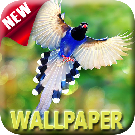 1000+ Birds Wallpapers 4K HD icon