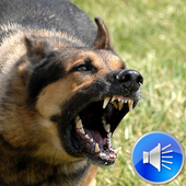 Dog Barking Sounds Ringtones icon