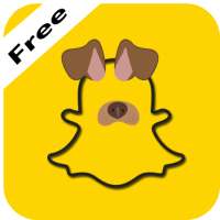 Free Filters & Photos for Snaphotos on 9Apps